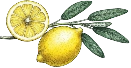 lemons